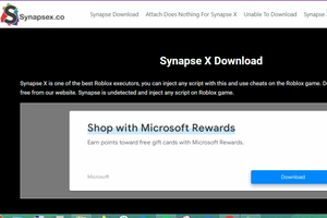 Synapse X(Download)