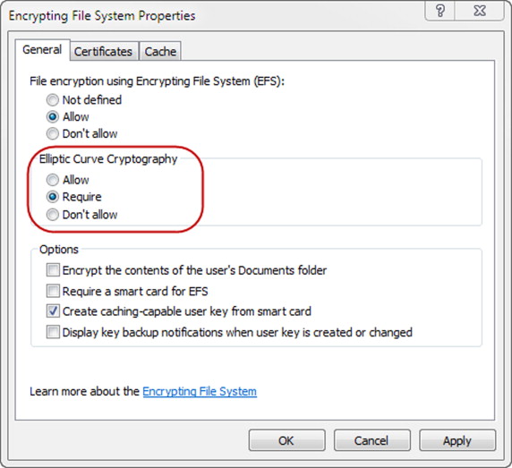 Set the Automatic Encrypting File System Setting