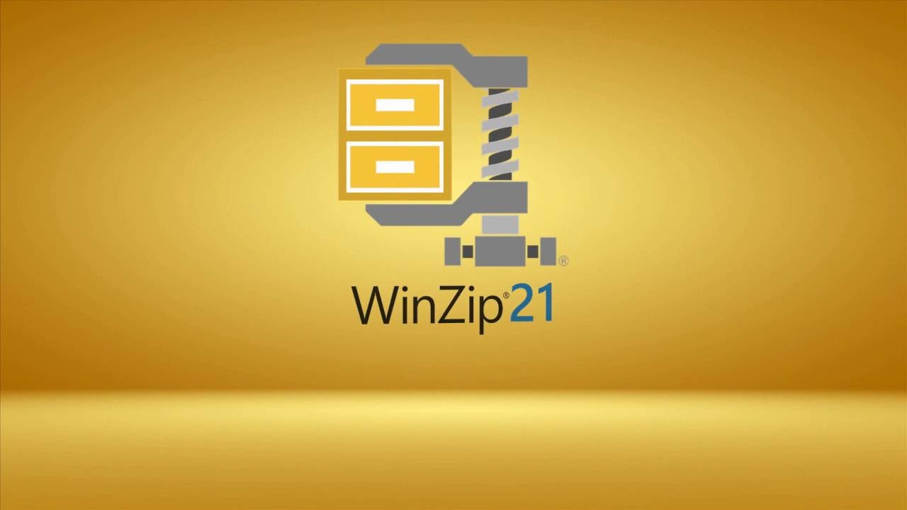 What is Winzip? 
