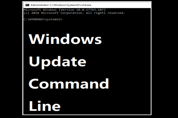run windows update from command line