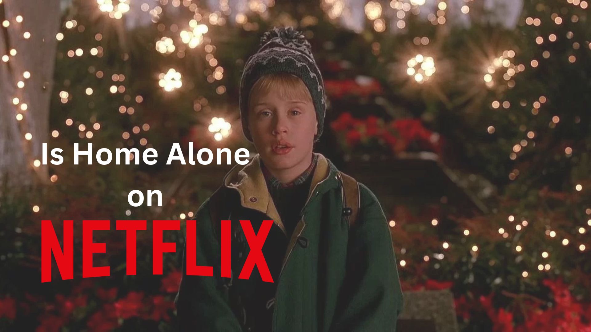 Is Home Alone on Netflix