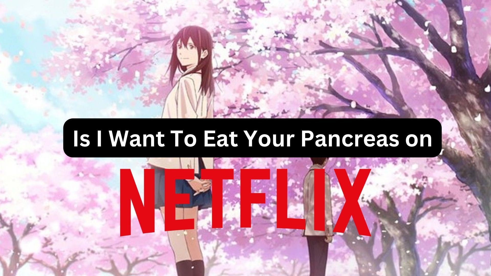 Is I Want To Eat Your Pancreas on netflix