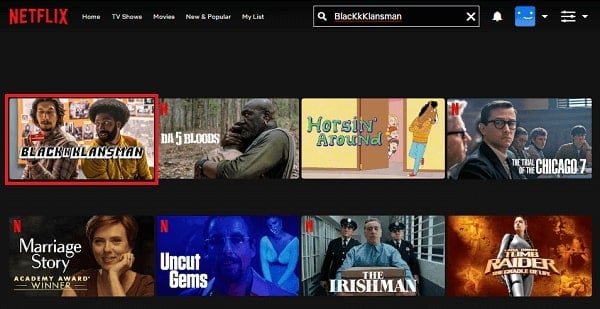 Is Blackkklansman On Netflix 