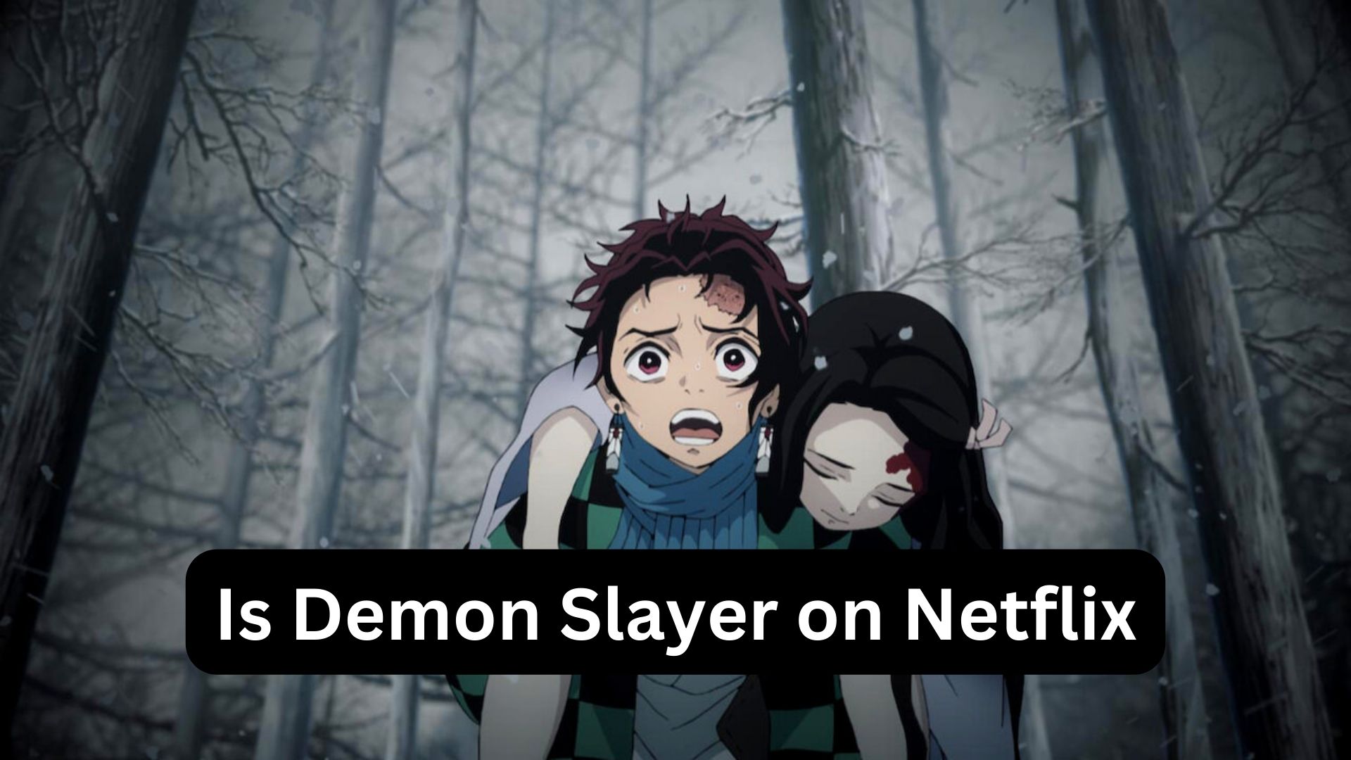 Is Demon Slayer on Netflix