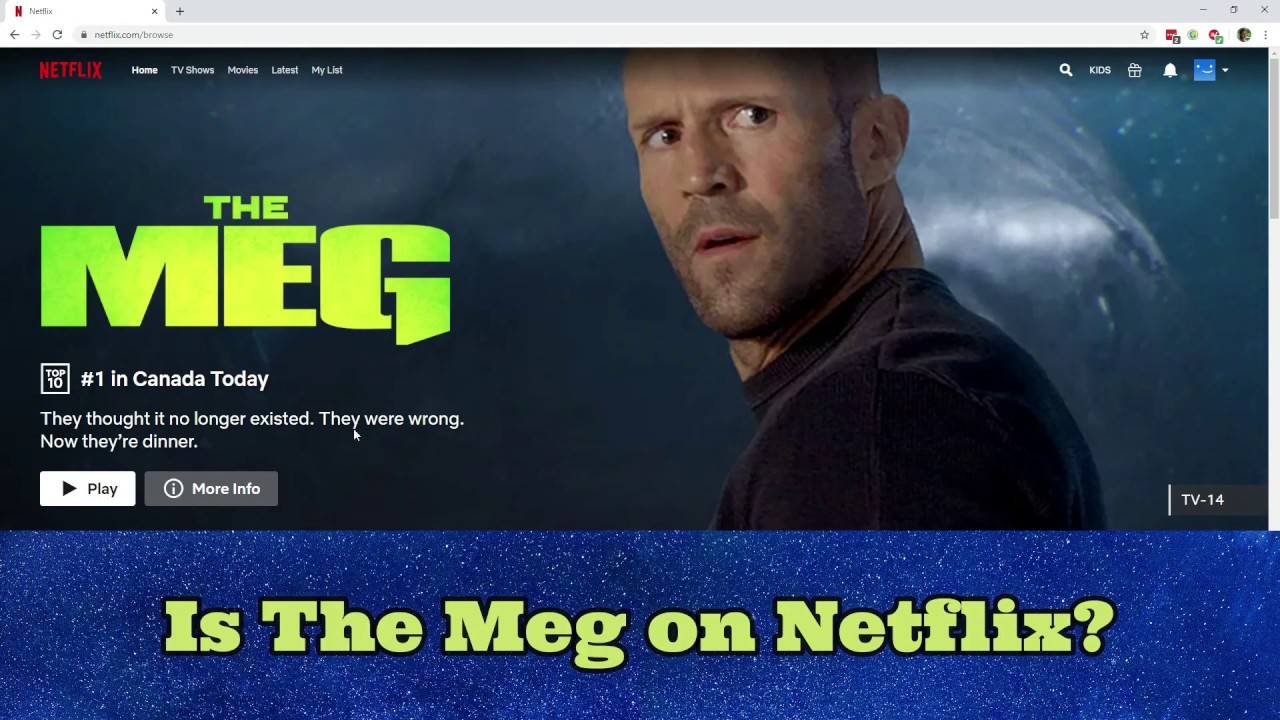 Is The Meg On Netflix