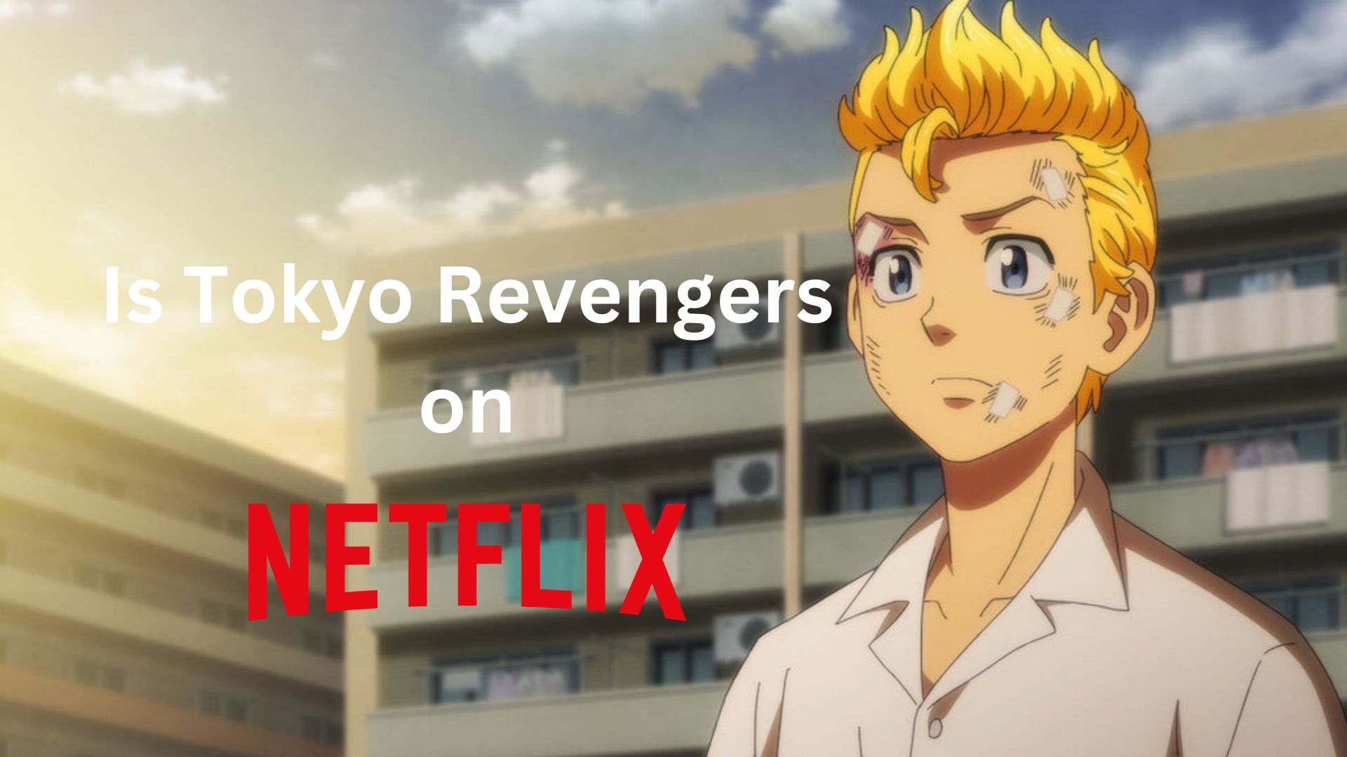 Is tokyo revengers on netflix